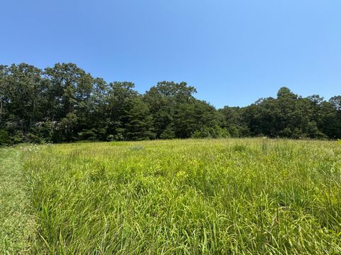 Tiny photo for 3 Duck Pond, Appomattox, VA 24522 (MLS # 360467)