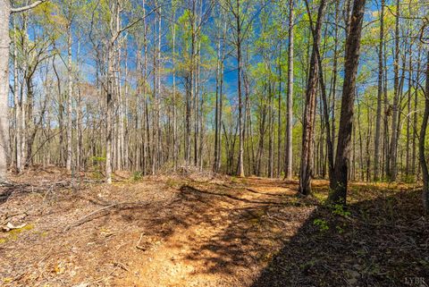 Tiny photo for 2305 Smith Mountain Lake Parkway, Huddleston, VA 24104 (MLS # 365870)
