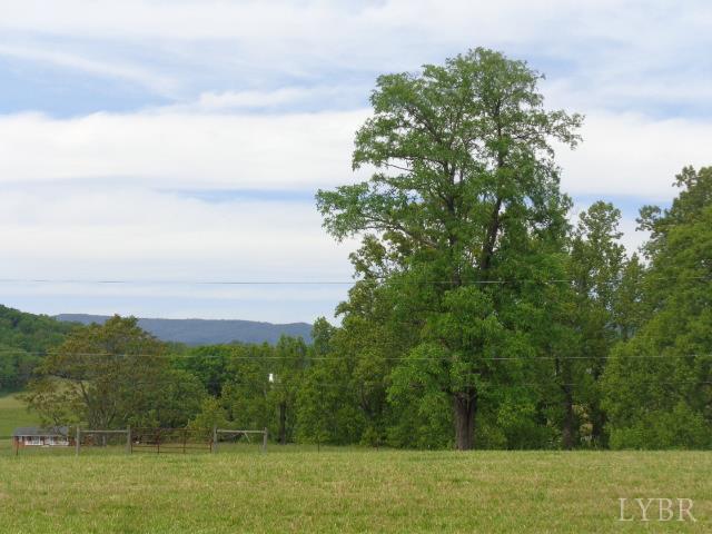 1170 Parrish Road, Goodview, Virginia image 3