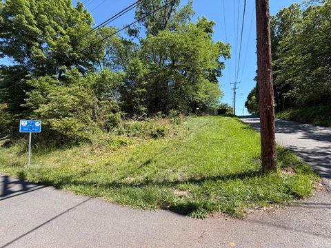 Photo of 2463 Holliday Street, Lynchburg, VA 24501 (MLS # 366520)