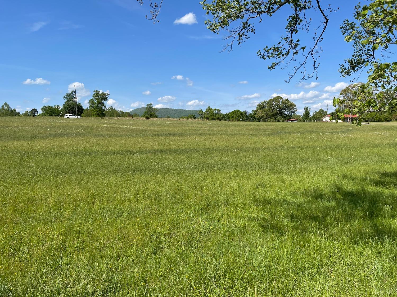 Quarles Road, Thaxton, Virginia image 12