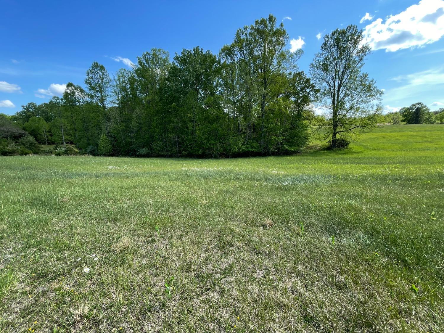 Quarles Road, Thaxton, Virginia image 4