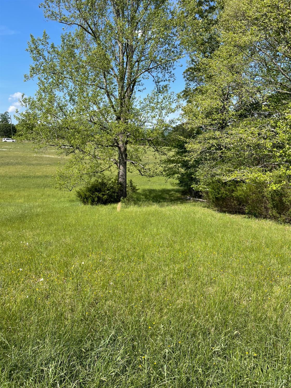 Quarles Road, Thaxton, Virginia image 13