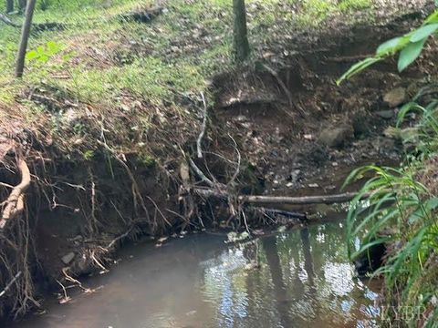 Tiny photo for 0 Piney Mountain Road, Appomattox, VA 24522 (MLS # 357579)