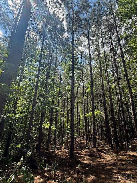 Piney Mountain Road, Appomattox, Virginia image 15