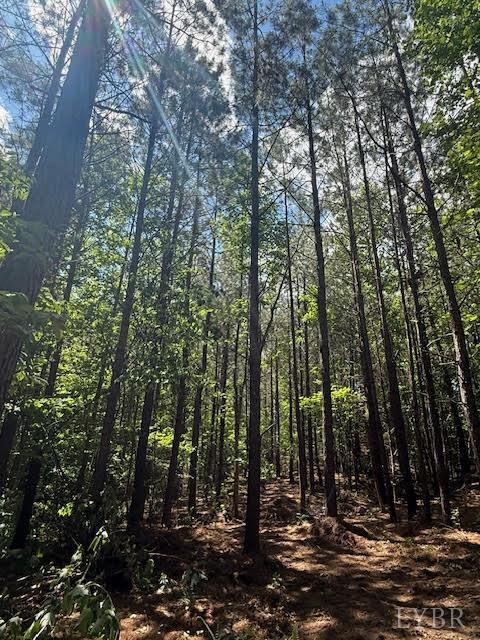 Tiny photo for 0 Piney Mountain Road, Appomattox, VA 24522 (MLS # 357579)