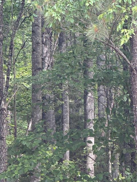 Piney Mountain Road, Appomattox, Virginia image 34