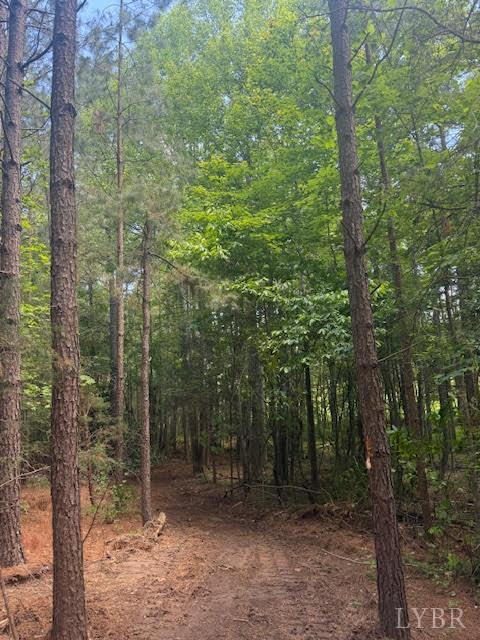 Piney Mountain Road, Appomattox, Virginia image 40