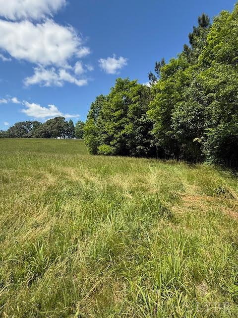 Piney Mountain Road, Appomattox, Virginia image 8