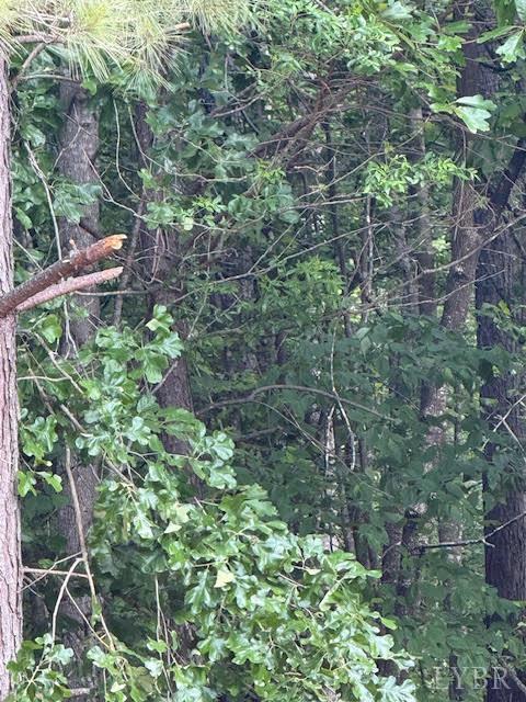 Piney Mountain Road, Appomattox, Virginia image 35