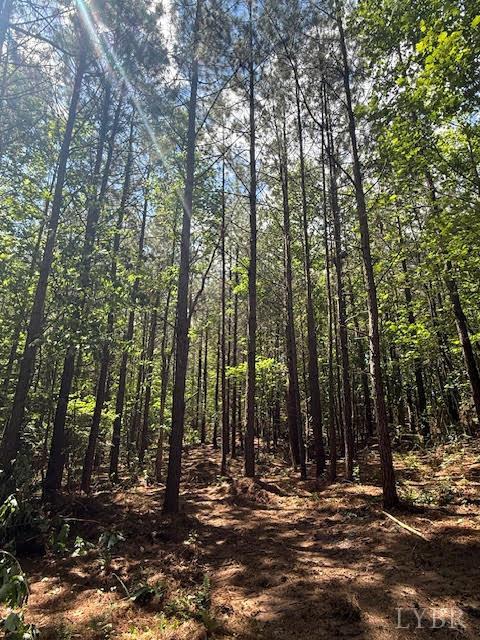 Piney Mountain Road, Appomattox, Virginia image 14