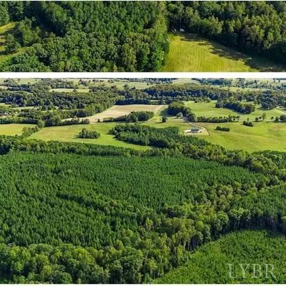 Piney Mountain Road, Appomattox, Virginia image 4