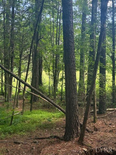 Piney Mountain Road, Appomattox, Virginia image 24