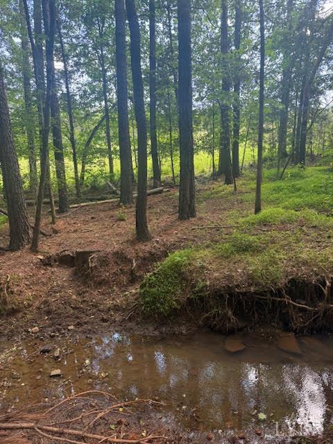 Piney Mountain Road, Appomattox, Virginia image 23