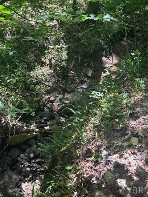 Tiny photo for 0 Piney Mountain Road, Appomattox, VA 24522 (MLS # 357579)