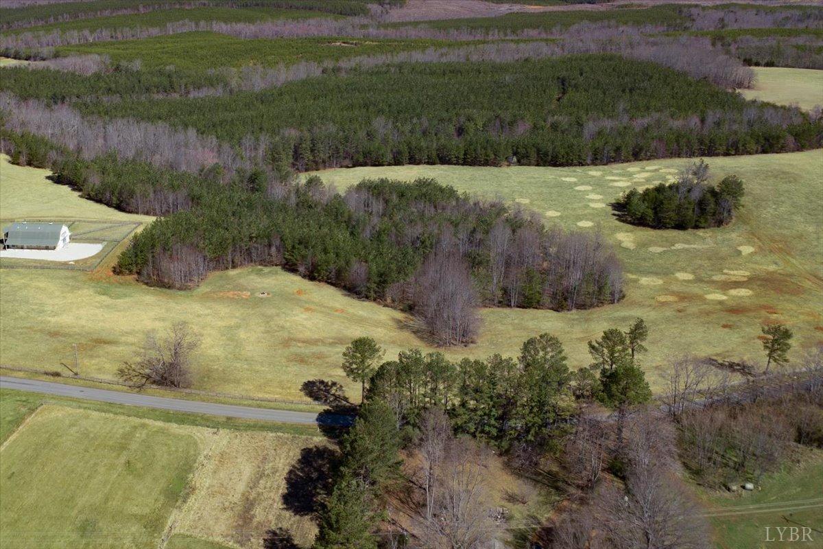 Piney Mountain Road, Appomattox, Virginia image 9