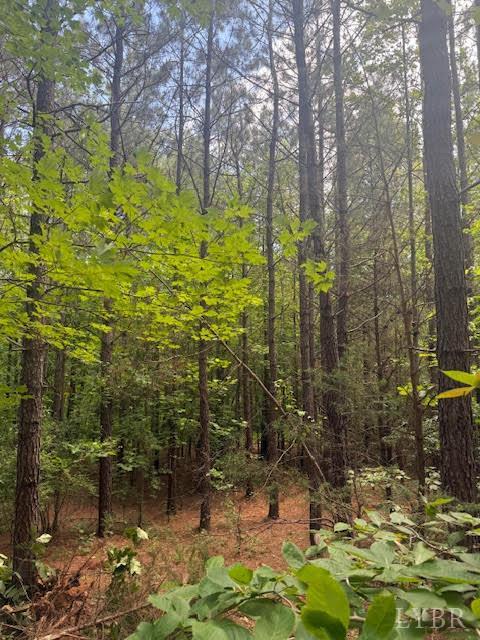 Piney Mountain Road, Appomattox, Virginia image 38
