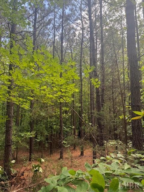 Tiny photo for 0 Piney Mountain Road, Appomattox, VA 24522 (MLS # 357579)