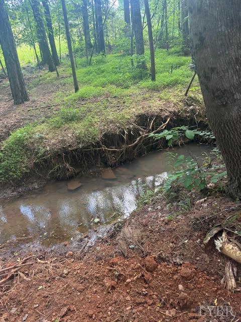 Piney Mountain Road, Appomattox, Virginia image 13