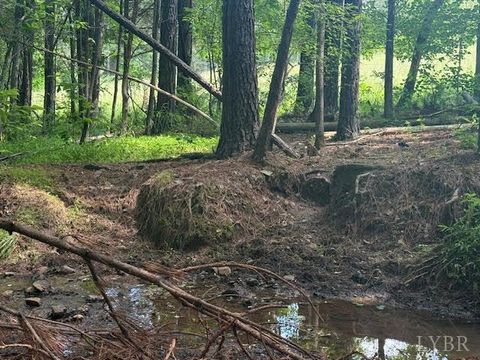 Tiny photo for 0 Piney Mountain Road, Appomattox, VA 24522 (MLS # 357579)