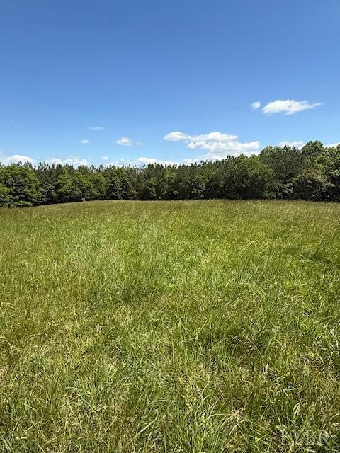 Piney Mountain Road, Appomattox, Virginia image 19