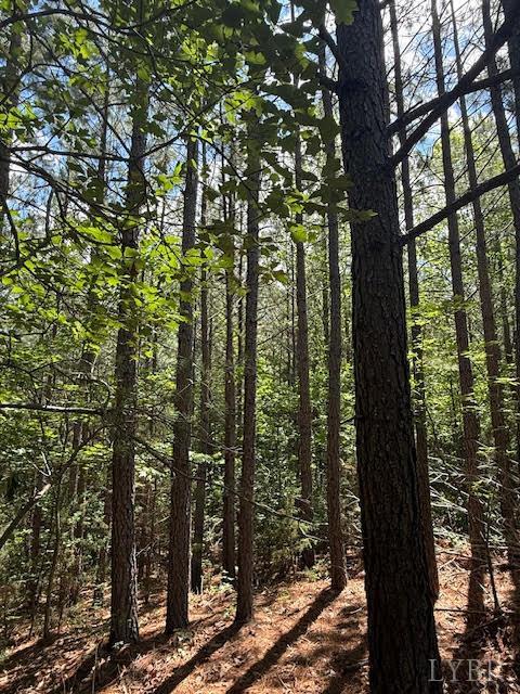 Piney Mountain Road, Appomattox, Virginia image 17