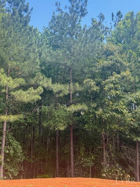 Piney Mountain Road, Appomattox, Virginia image 32