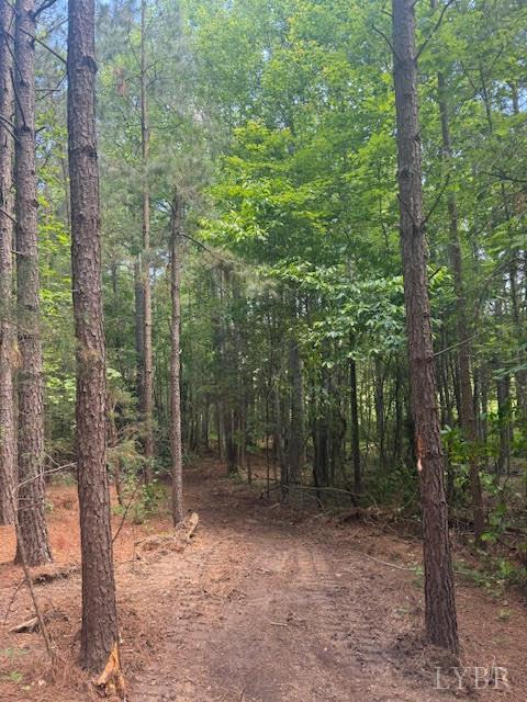 Piney Mountain Road, Appomattox, Virginia image 39