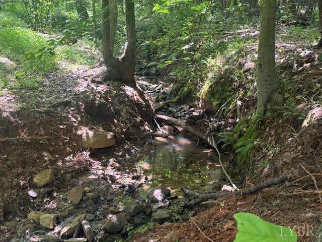 Piney Mountain Road, Appomattox, Virginia image 27