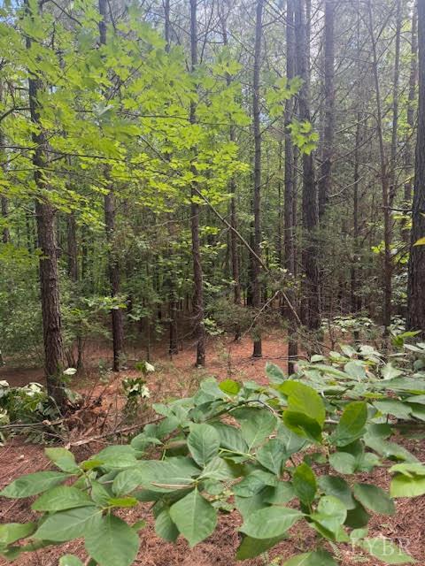 Piney Mountain Road, Appomattox, Virginia image 37