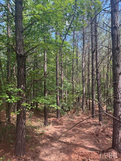 Piney Mountain Road, Appomattox, Virginia image 36