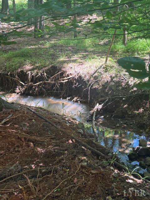 Piney Mountain Road, Appomattox, Virginia image 28