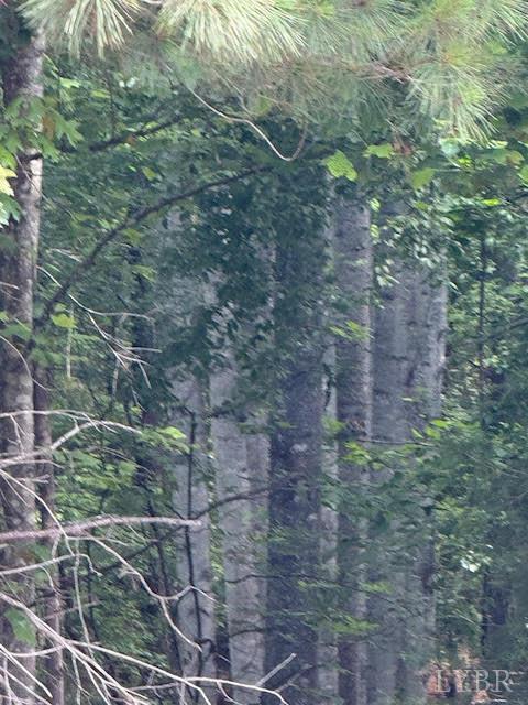 Piney Mountain Road, Appomattox, Virginia image 33