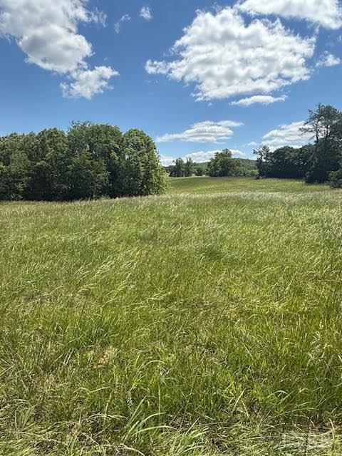 Piney Mountain Road, Appomattox, Virginia image 20