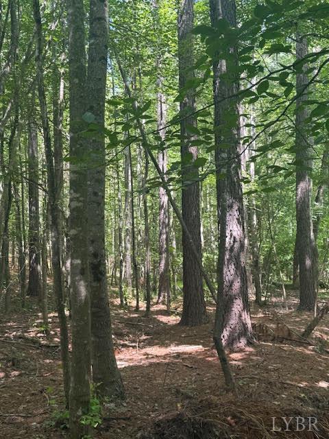 Piney Mountain Road, Appomattox, Virginia image 30