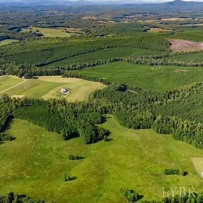 Piney Mountain Road, Appomattox, Virginia image 6