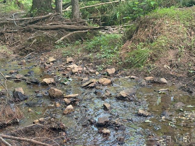 Piney Mountain Road, Appomattox, Virginia image 3