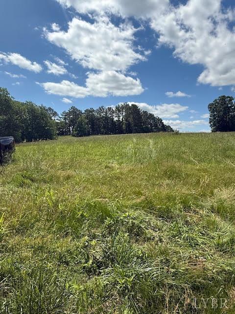 Piney Mountain Road, Appomattox, Virginia image 18