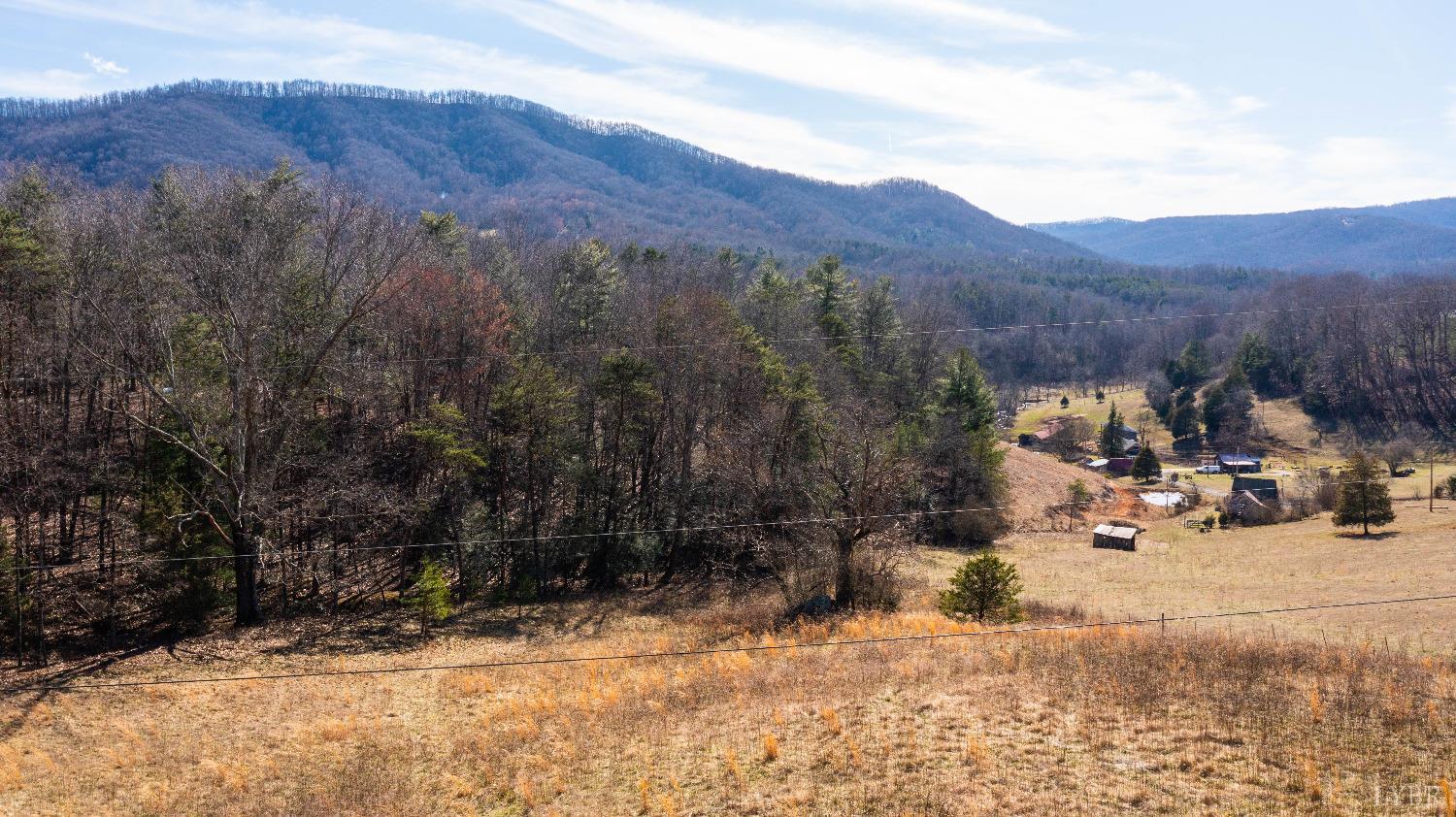 Coopers Cove Road, Hardy, Virginia image 4