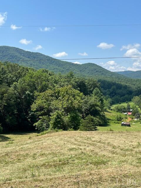 Coopers Cove Road, Hardy, Virginia image 9