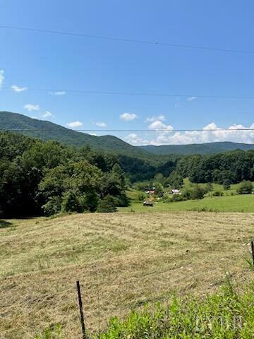 Coopers Cove Road, Hardy, Virginia image 6