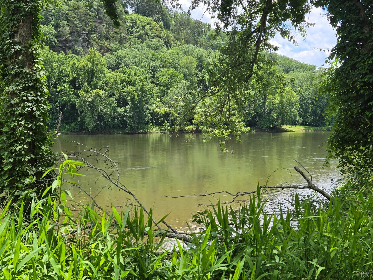 James River Rd, Wingina, Virginia image 6