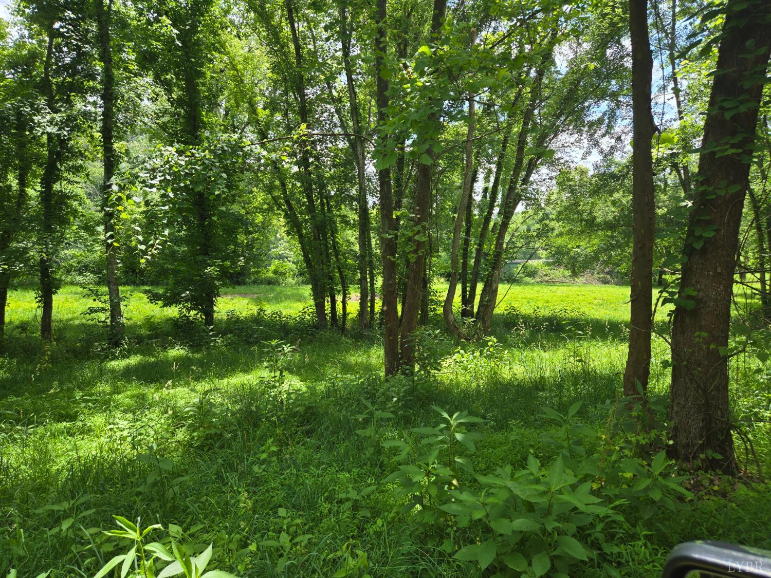 James River Rd, Wingina, Virginia image 14