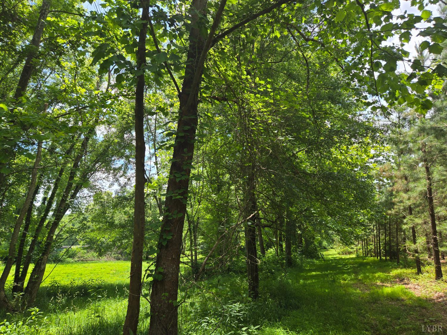 James River Rd, Wingina, Virginia image 13
