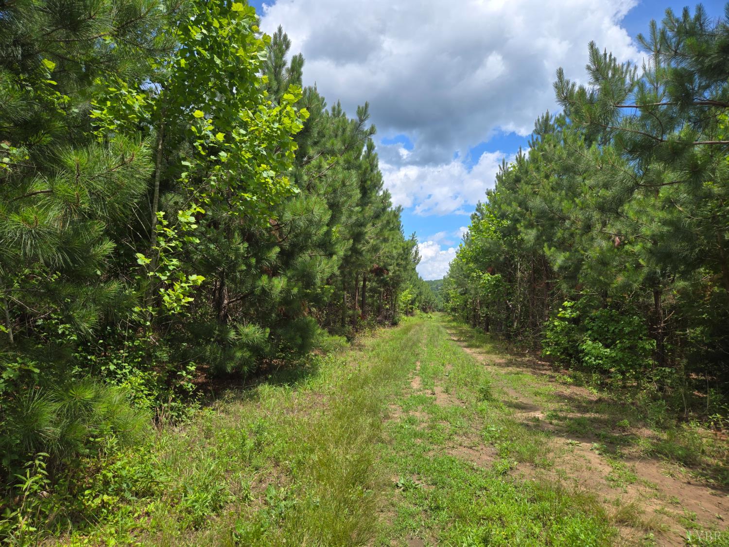 James River Rd, Wingina, Virginia image 17