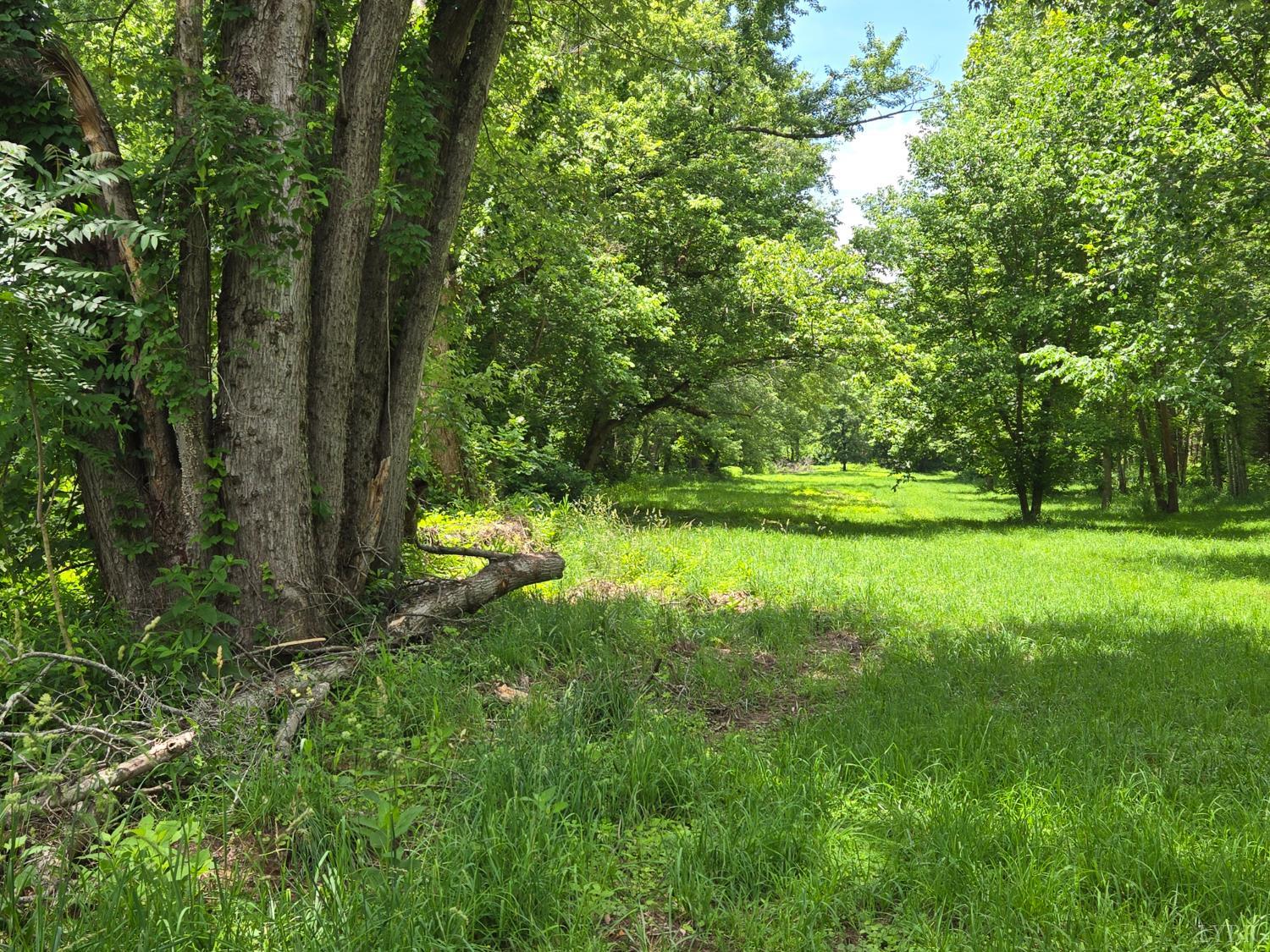 James River Rd, Wingina, Virginia image 12