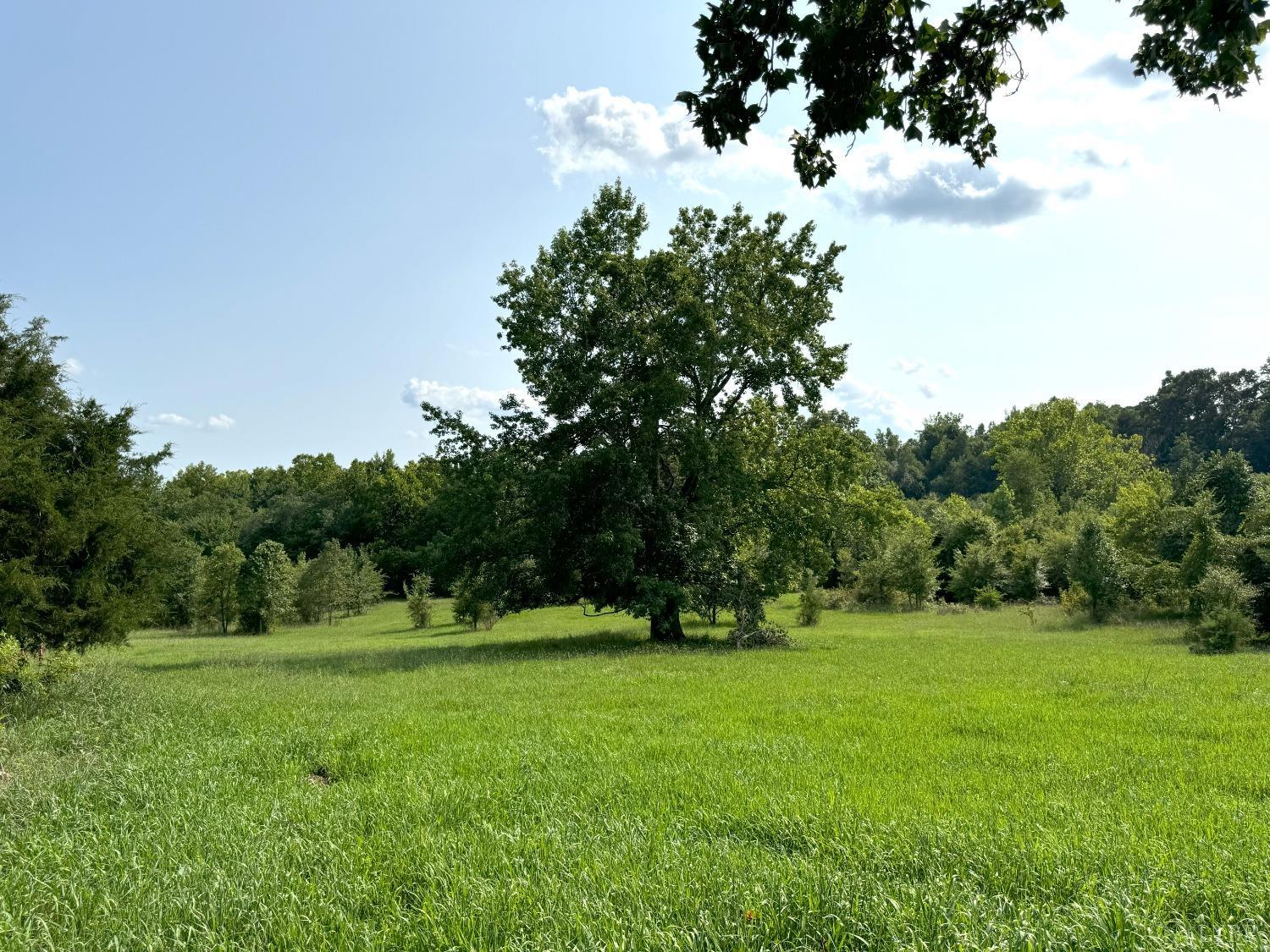 Fearstown Parcel 3 Road, Randolph, Virginia image 4