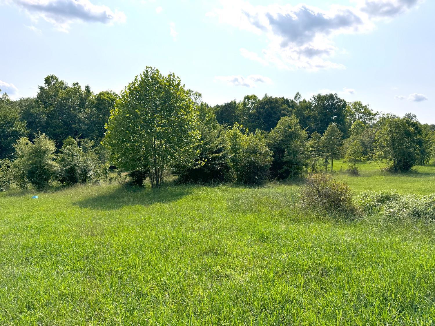 Fearstown Parcel 3 Road, Randolph, Virginia image 5