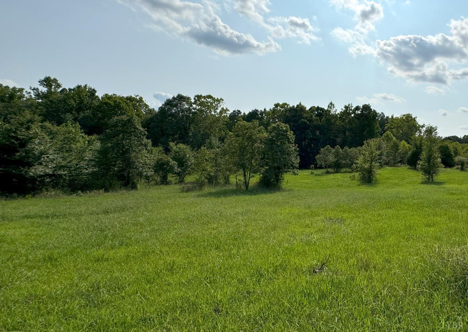 Fearstown Parcel 3 Road, Randolph, Virginia image 2