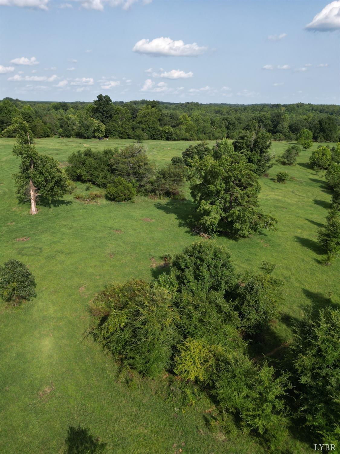 Fearstown Parcel 3 Road, Randolph, Virginia image 15